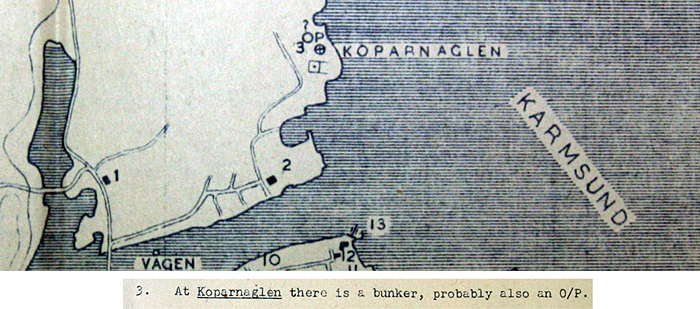 - Kopparnaglen kart.jpg