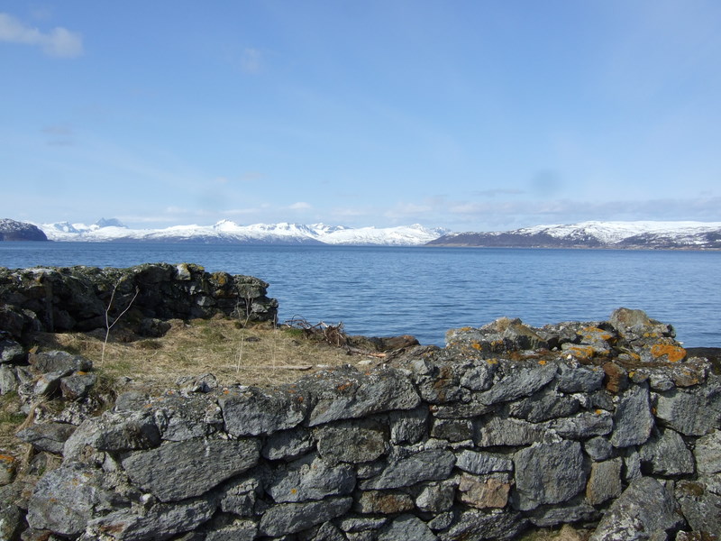 ansnes080511 024.jpg
