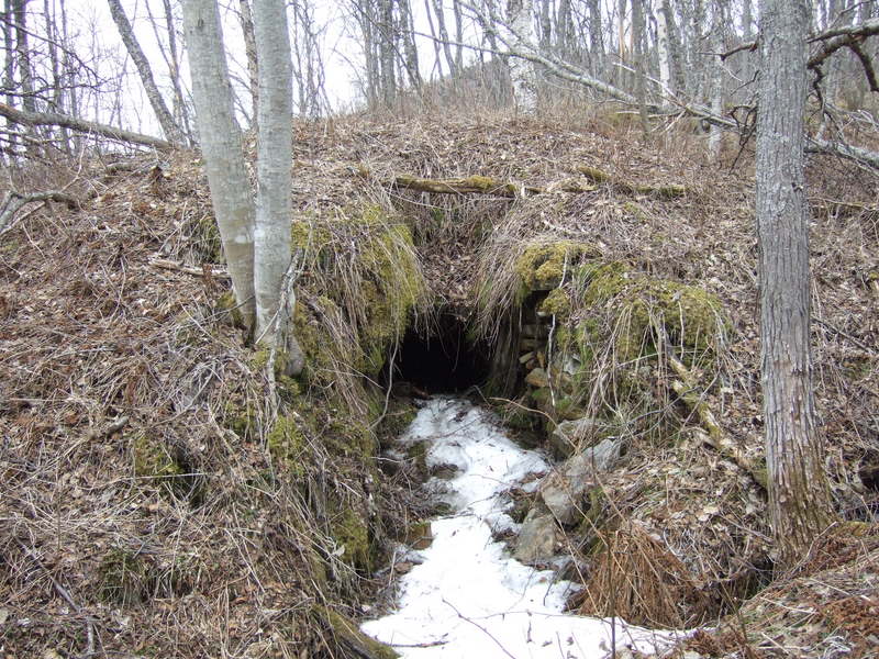 Bunker
