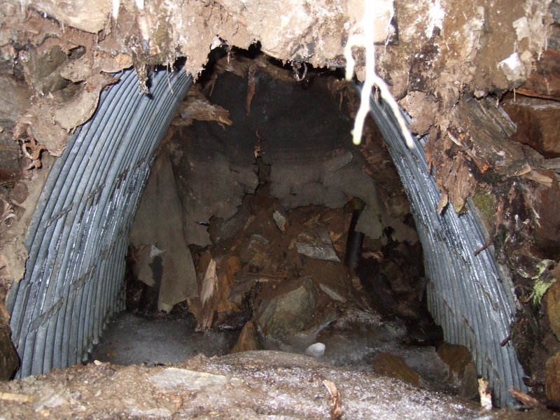 ansnes080511 059.jpg