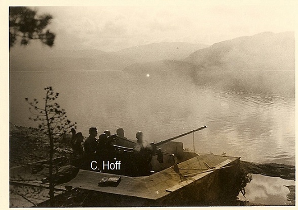 P2.jpg