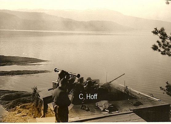 P3.jpg