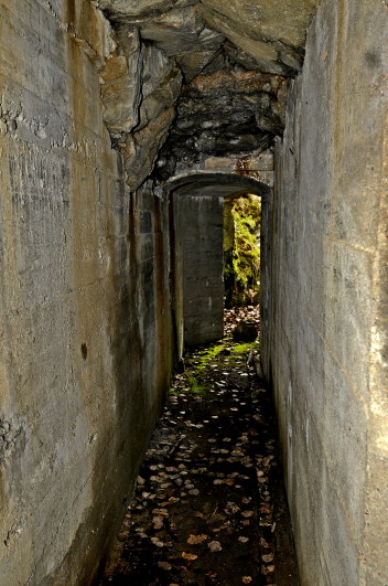 justoen_shelter2.jpg
