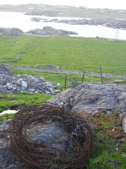 På vei ned til steingarden kom eg over denne rullen med tysk piggtråd , et lovende tegn...