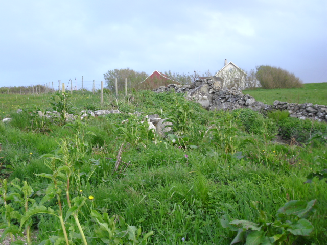 Langs steingarden,på linje med den røde løa er der flere stålstenger.