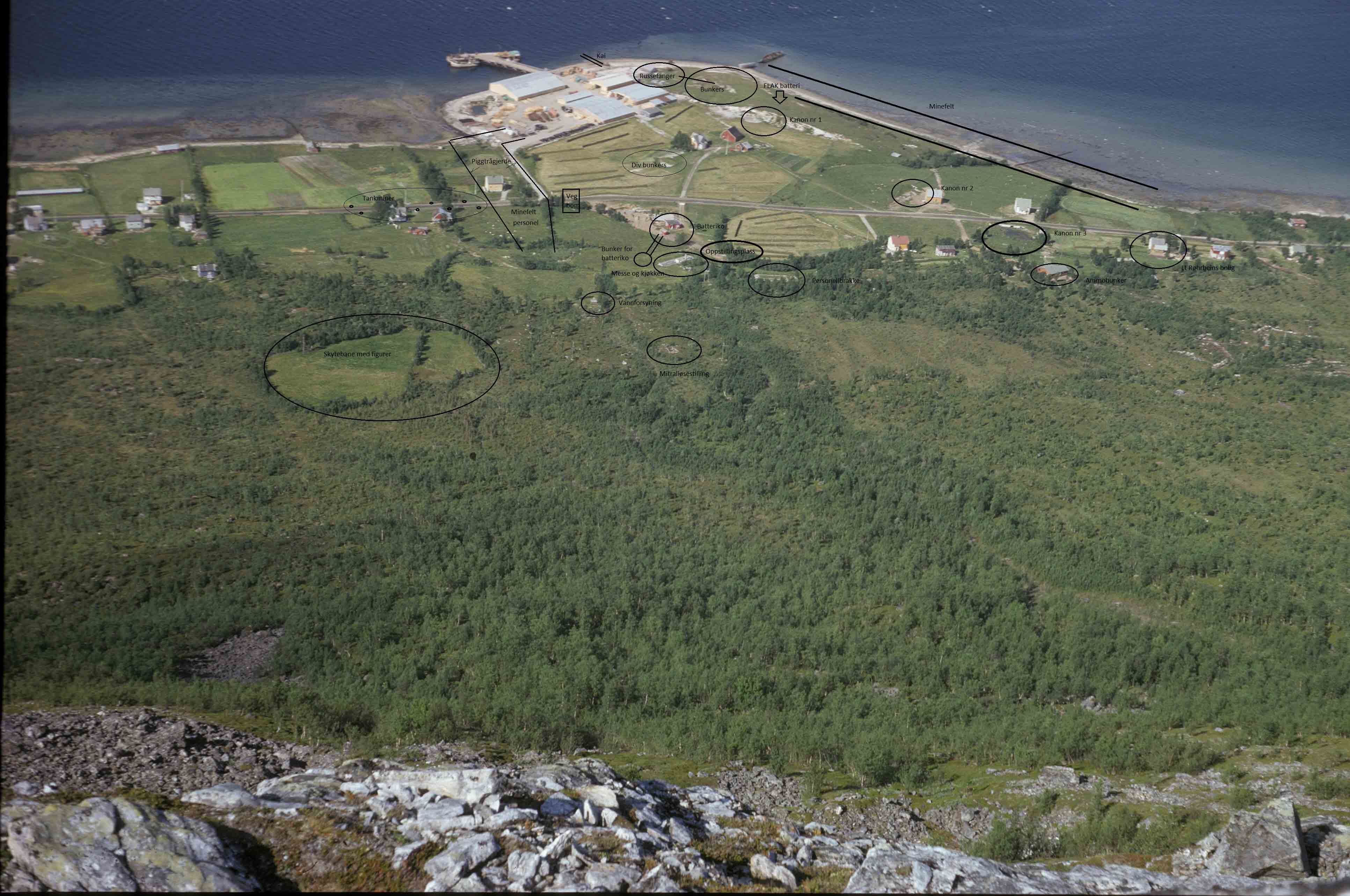 Tomasjordnes