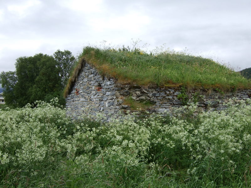 DSCF7025.JPG