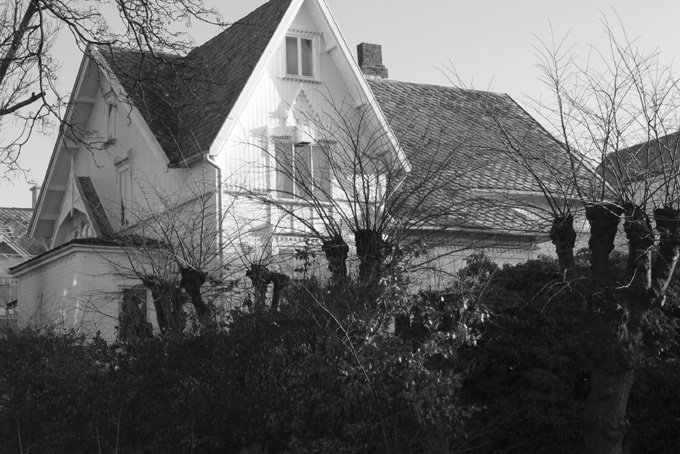 1_dorenbeck_2007.JPG