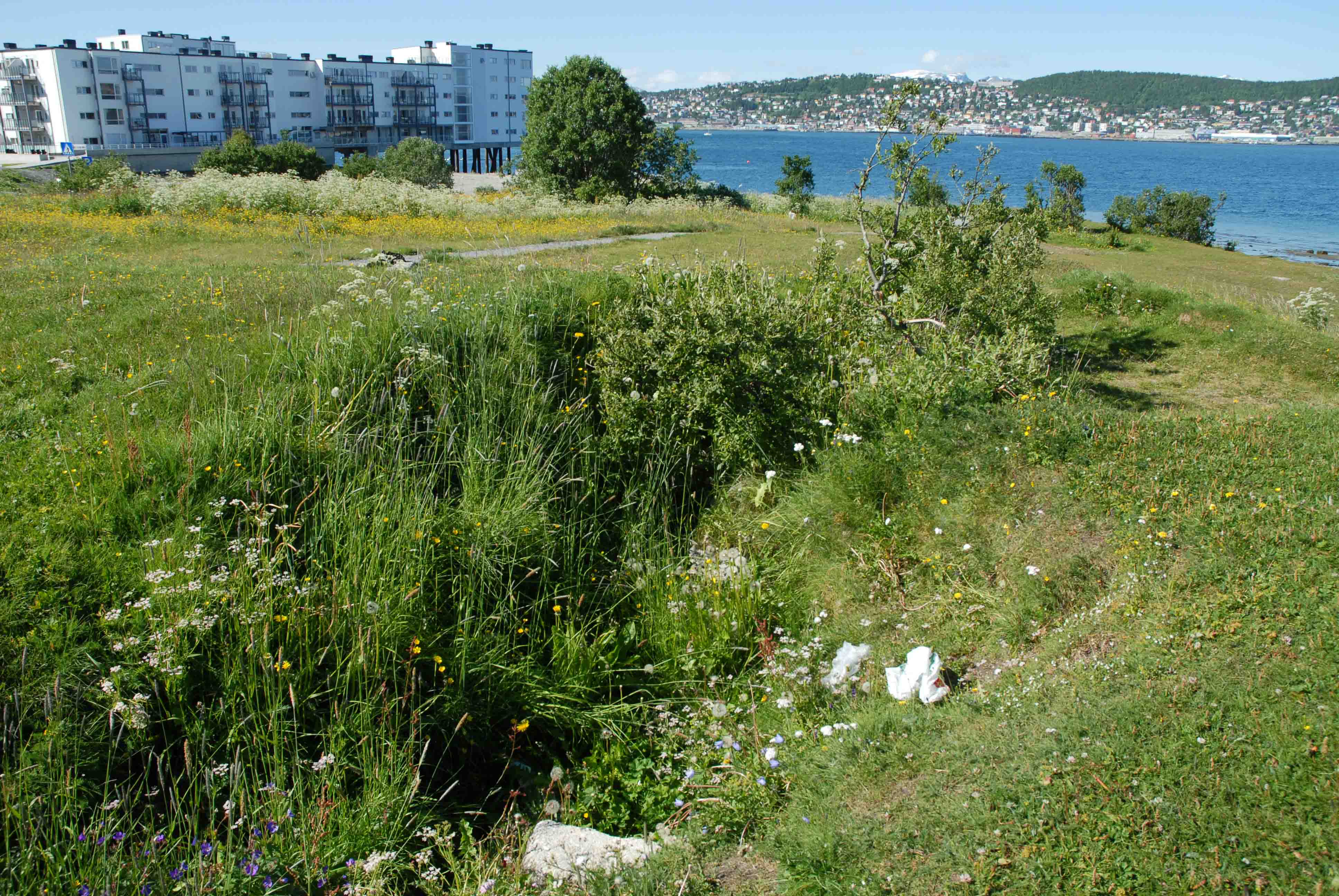 Rester etter bunkers Tomasjoerdnes.jpg