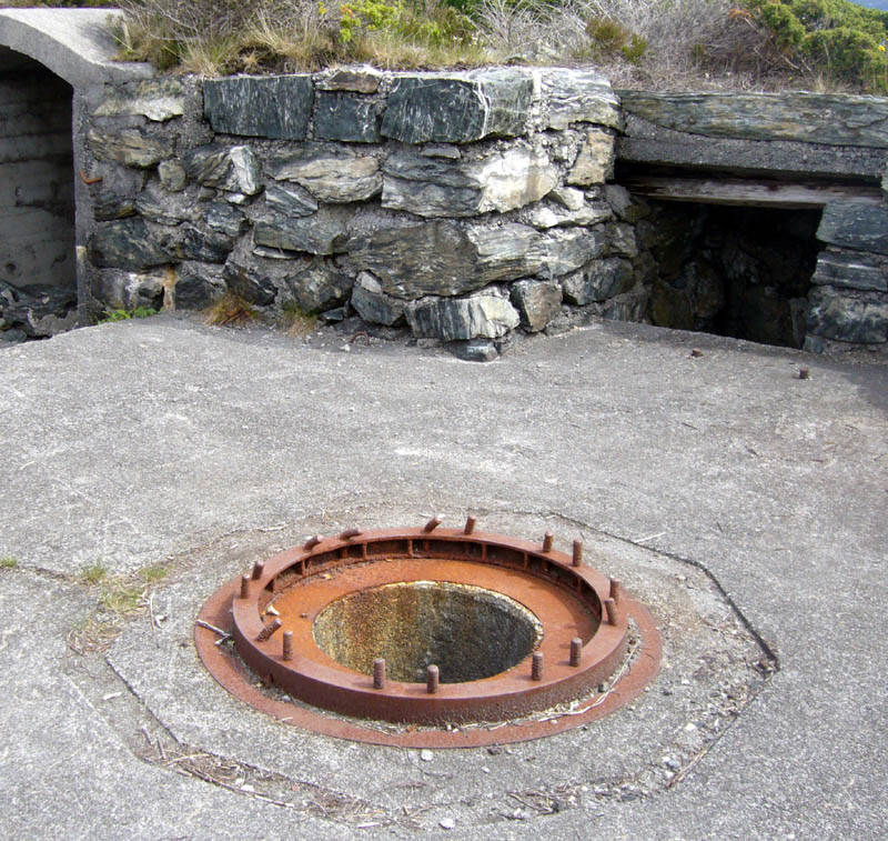 P1100473.jpg