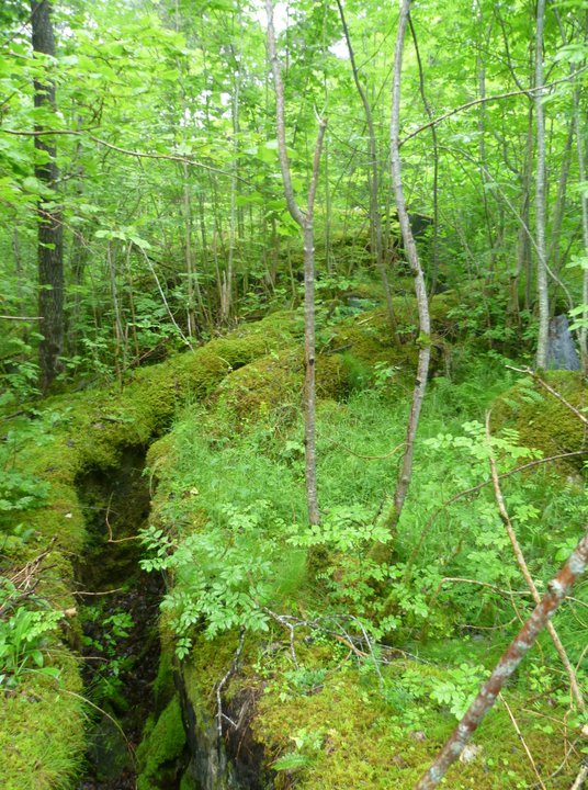 Nok et bilde av løpegravene. Rett frem oppe i skogen, mot veien kan vi skimte Ringstanden som jeg har lagt ut et bilde av lengre opp på siden, fra tidligere. Det samme gjelder koksbøtten man kan skimte til høyre.