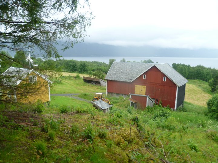 Utsikt fra MG-stillingen. Dekket markene nedover, samt ned mot stranden (som ligger til høyre utenfor bildet). Mellom det gule stabburet og den røde låven, ligger der et lite vedskjul? Rett v. siden av dette ligger restene av en av de tre 21cm-stillingene.