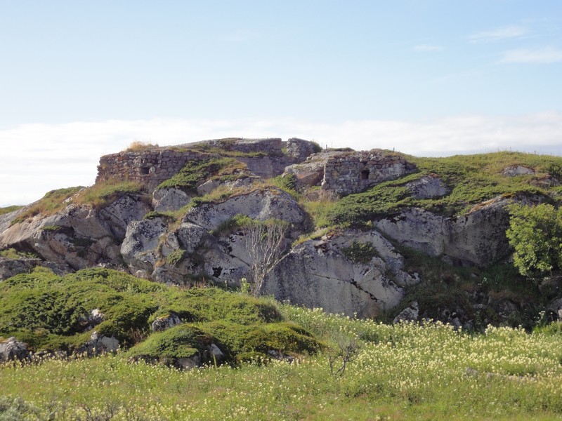 Nærforsvar stilling