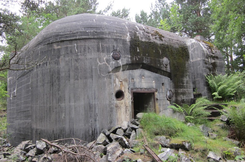 Image1.jpg