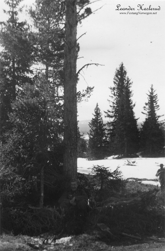U7.jpg
