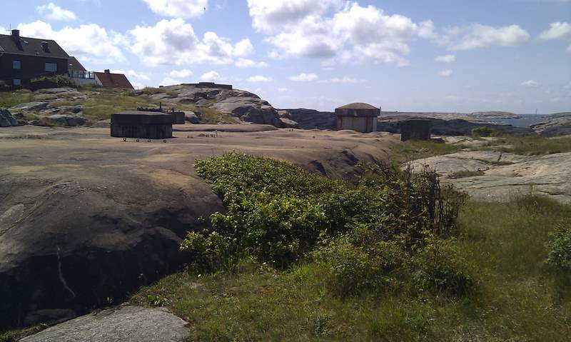 IMAG0090.jpg