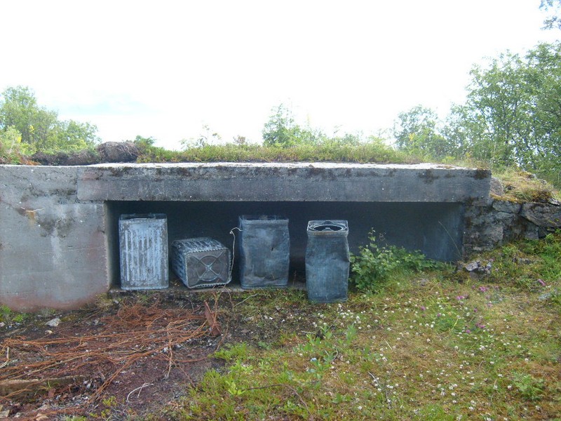 Bjarkøy 2011 001.jpg