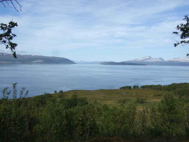Utsikt over fortsområdet