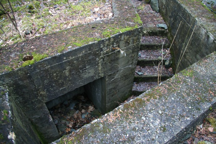 Ringstand detalj.jpg