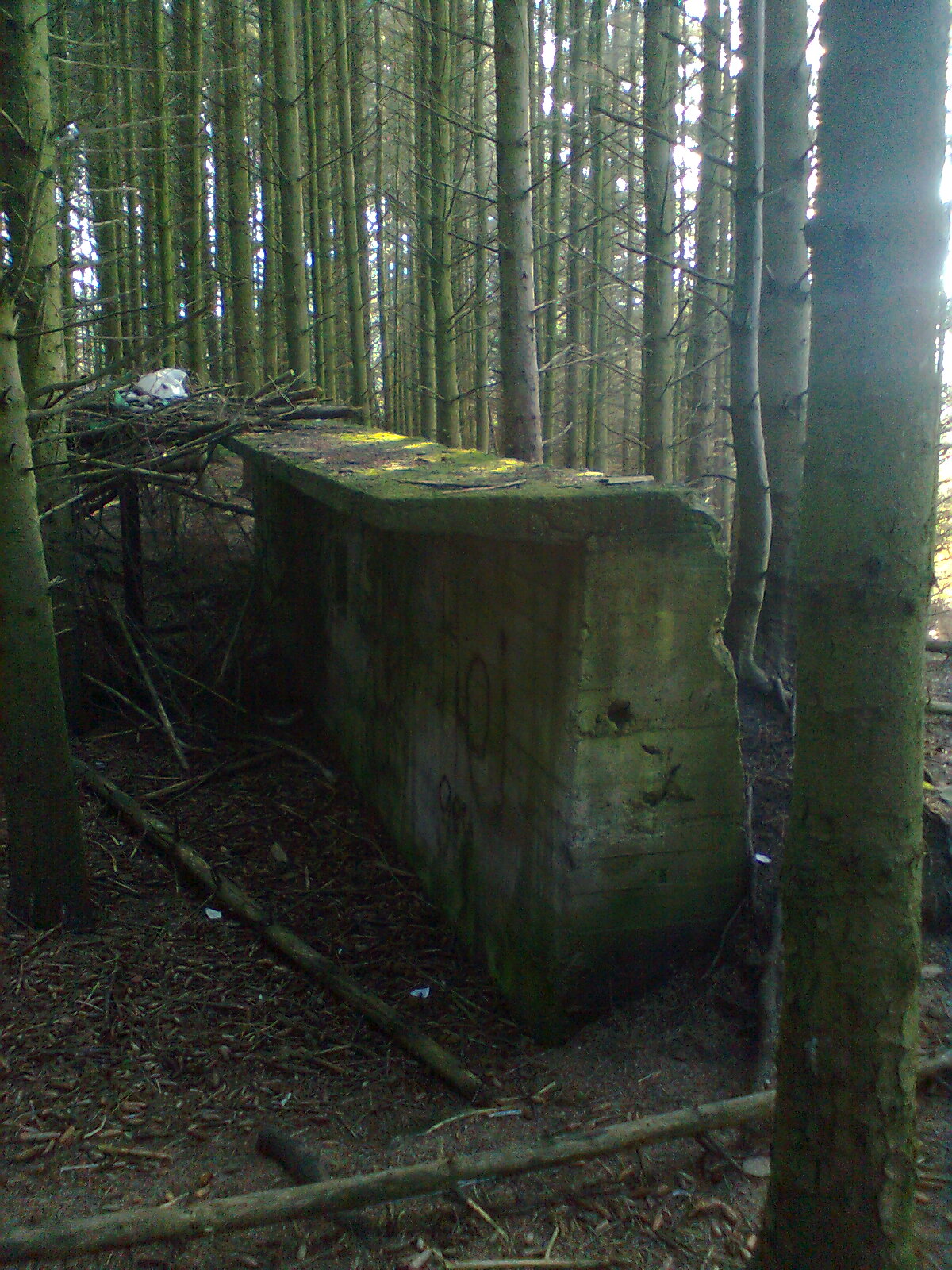 Bilde0066.jpg