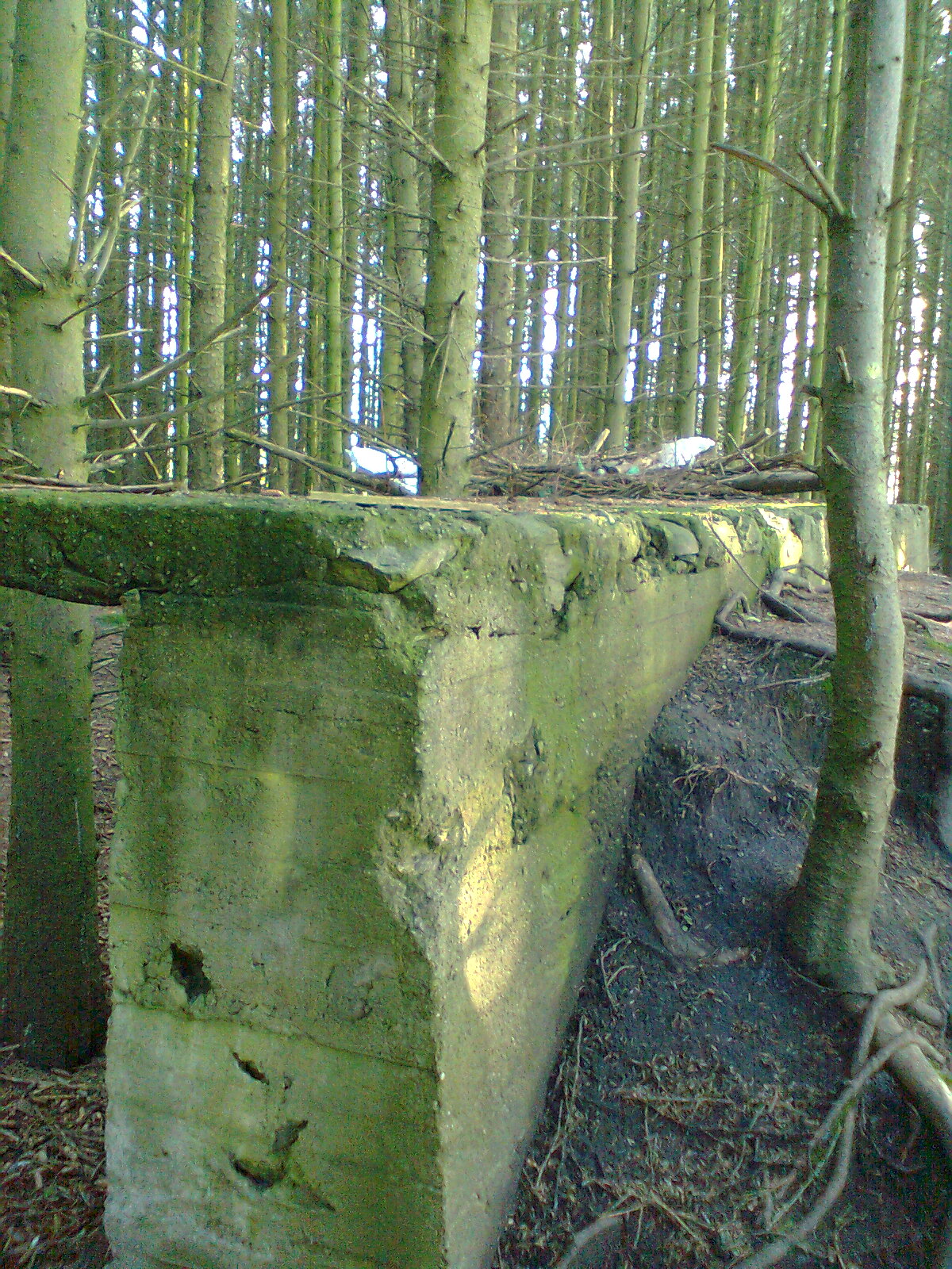 Bilde0067.jpg