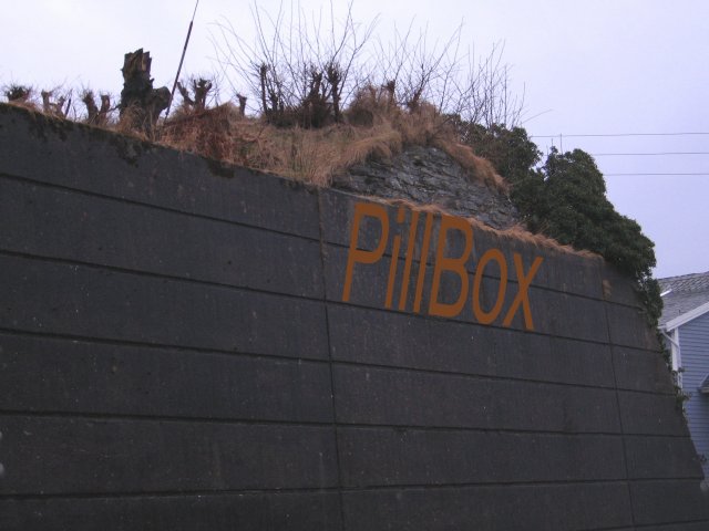 20110313_001_1.jpg