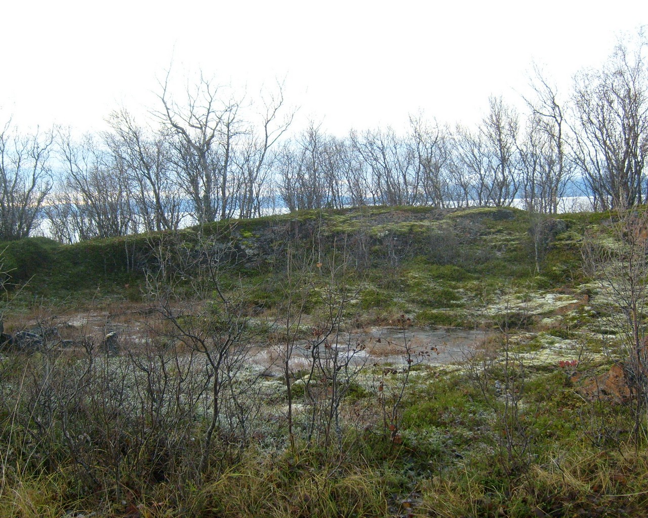 Trondenes 2 002.jpg