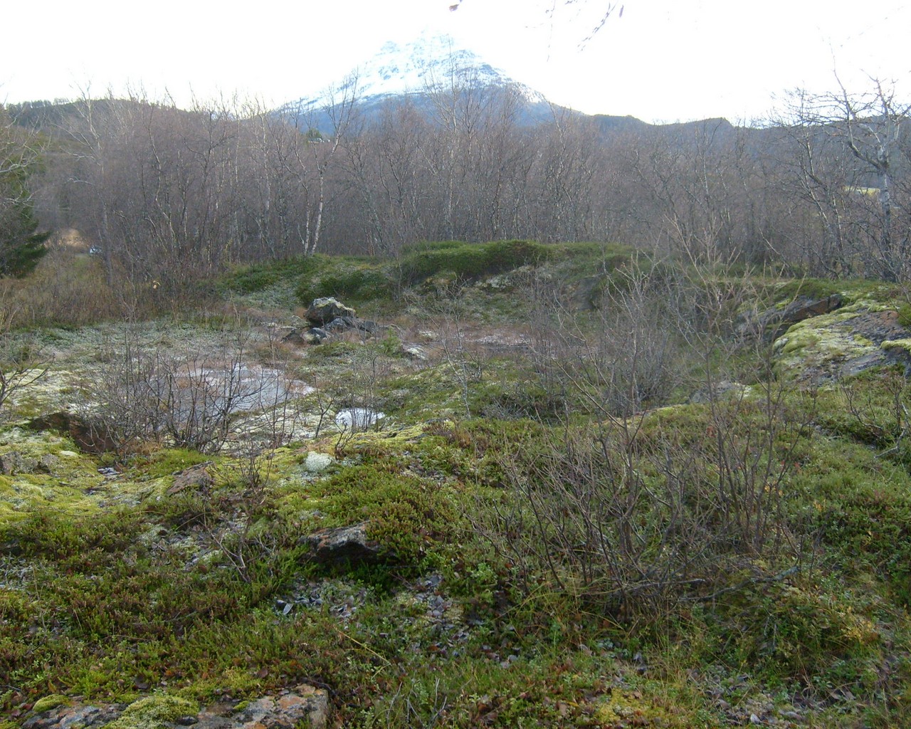 Trondenes 2 004.jpg