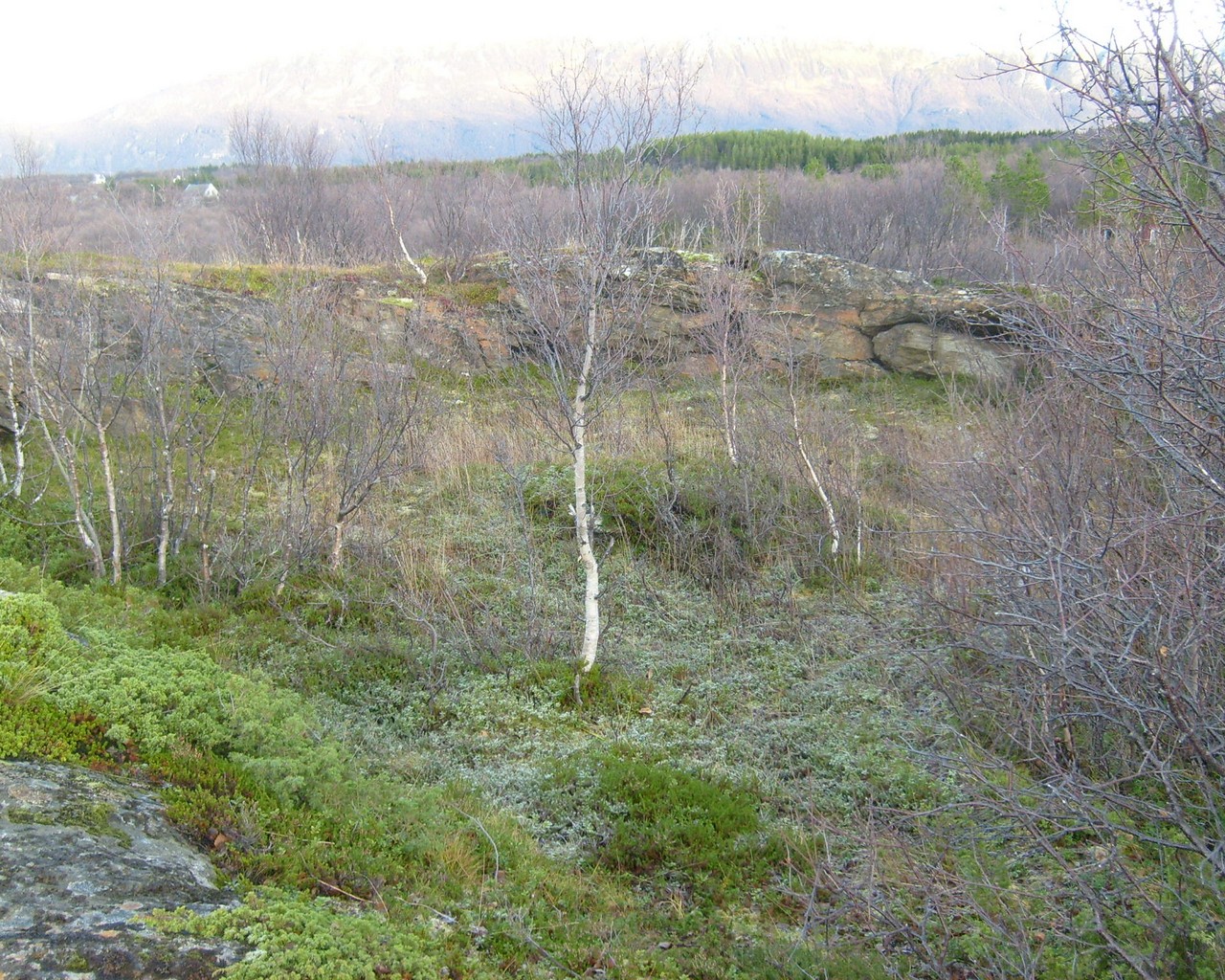 Trondenes 2 010.jpg