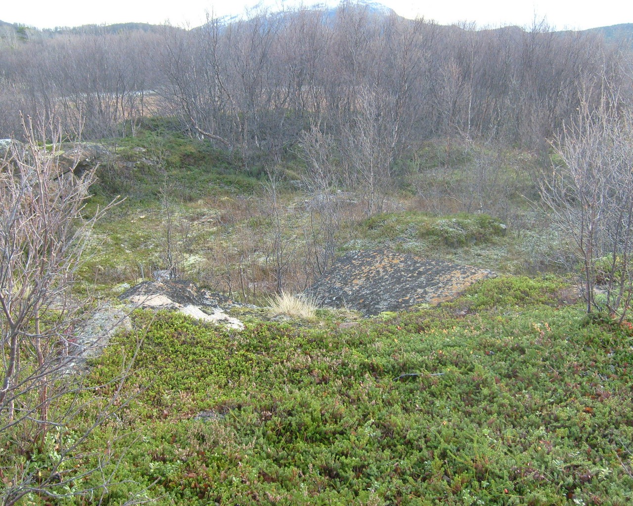 Trondenes 2 011.jpg
