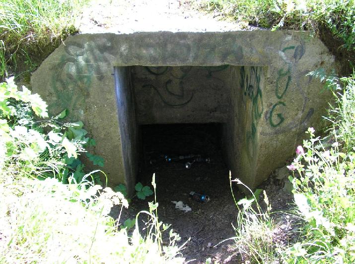 RS2.JPG