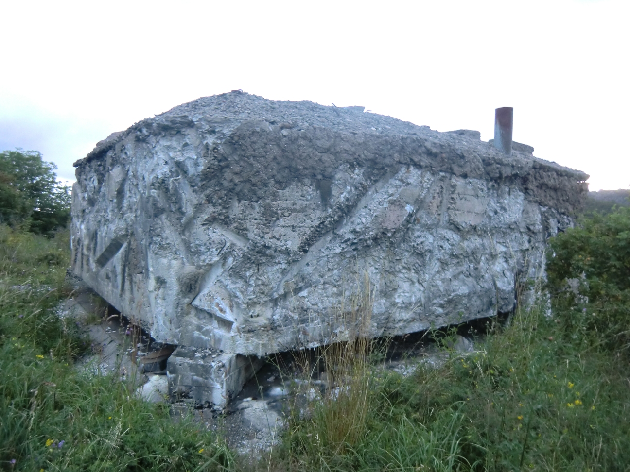 quizCIMG8975.JPG