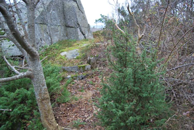 DSC_0028.JPG