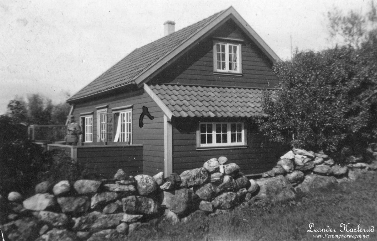 463.jpg