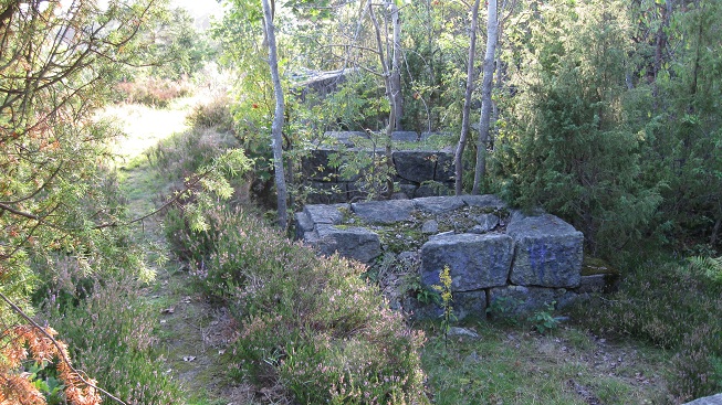 molich.JPG