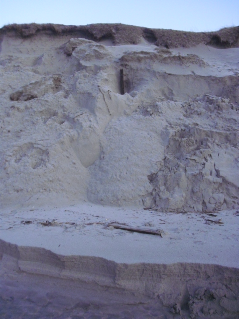 Sett rett forfra . Denne stokken var 3meter høyere oppe i sandhaugen enn de andre stokkene eg har funnet til nå.