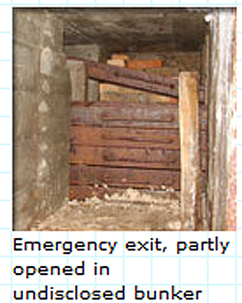 R668_emergency_exit_bars.jpg
