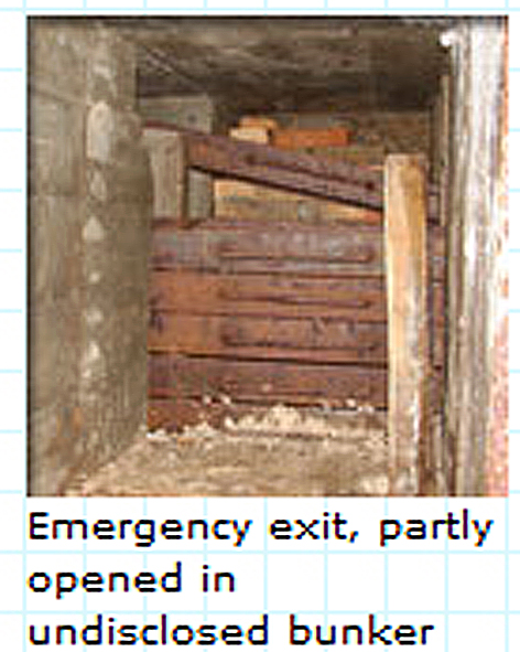 R668_emergency_exit_bars.jpg