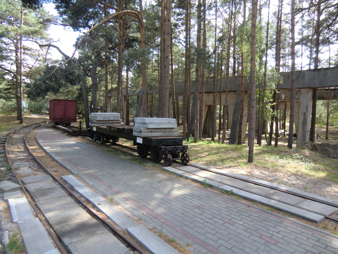 qCIMG7325.JPG