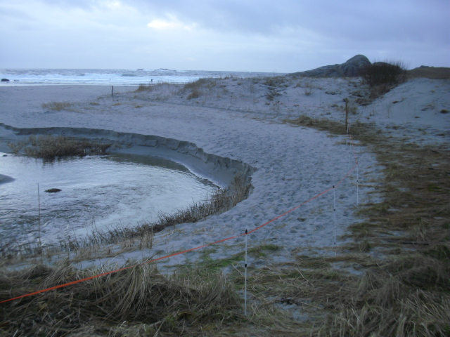 Skjønner ikke hvorfor utløpet til bekken er blitt gjerdet inn ,det ligger jo ikke miner der . Og hvis det skulle ligge noen så ligger de veeldig dypt.