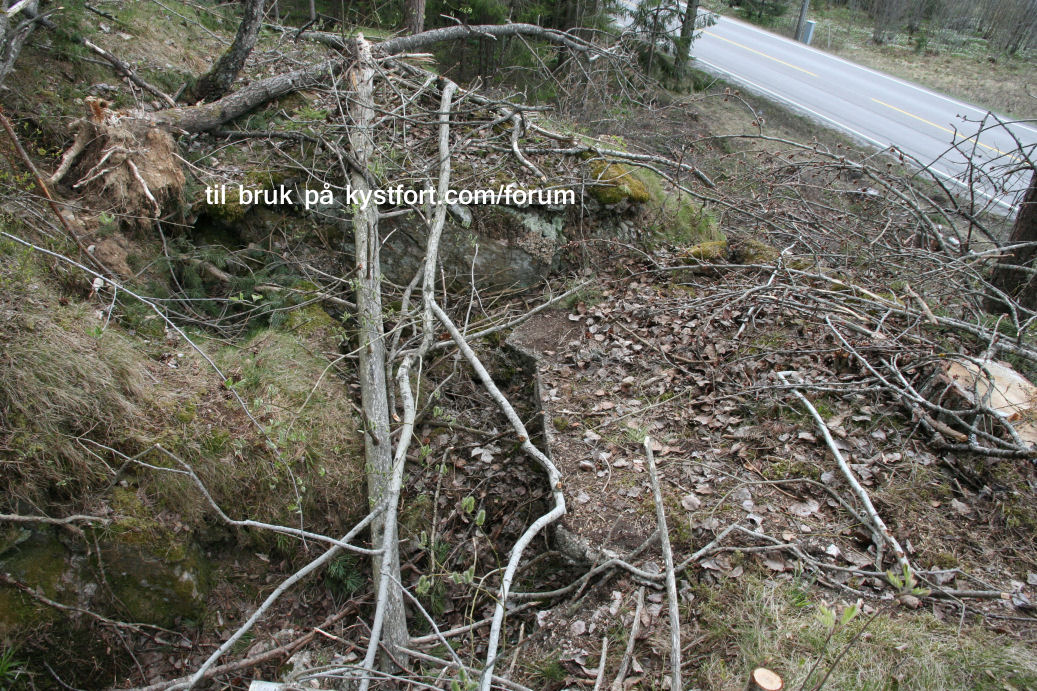 voldskrysset.JPG
