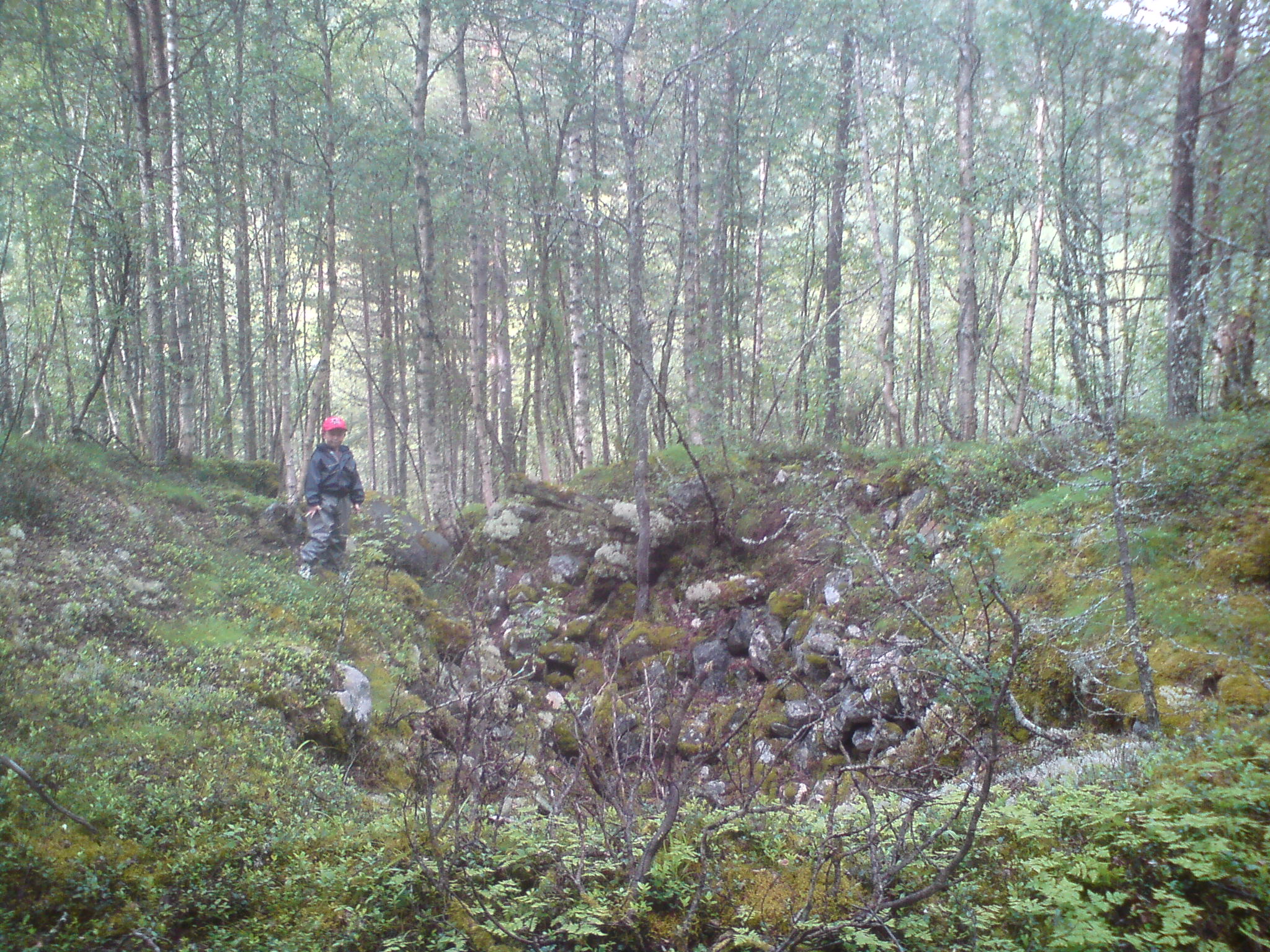 råtna sammenrast bunker
