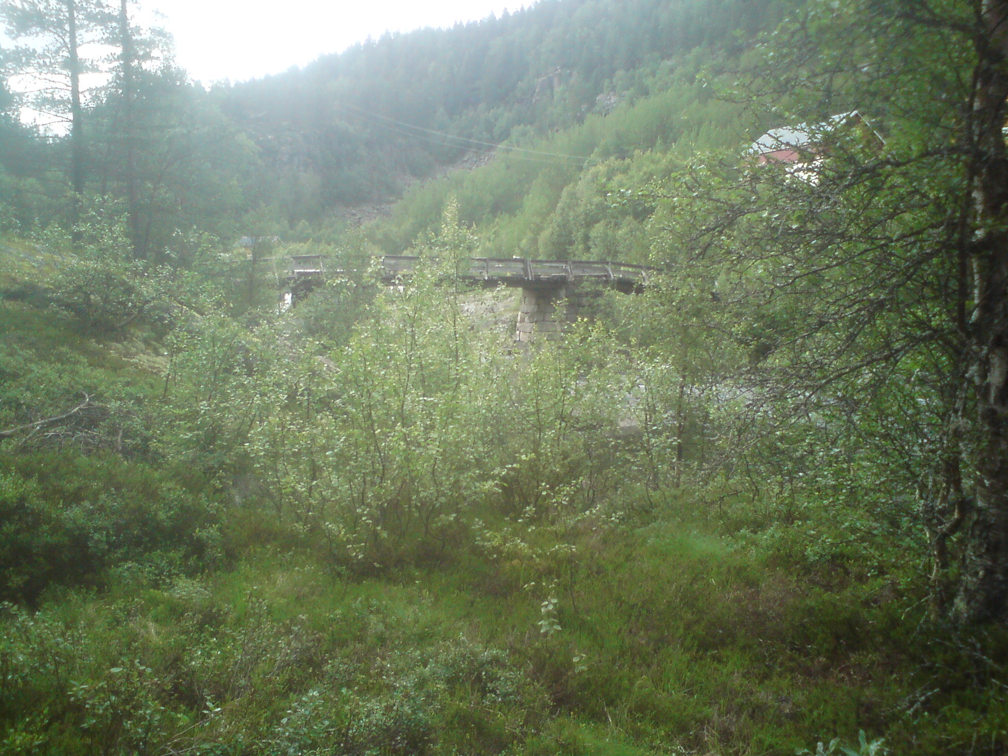 brua fra riksveg 134