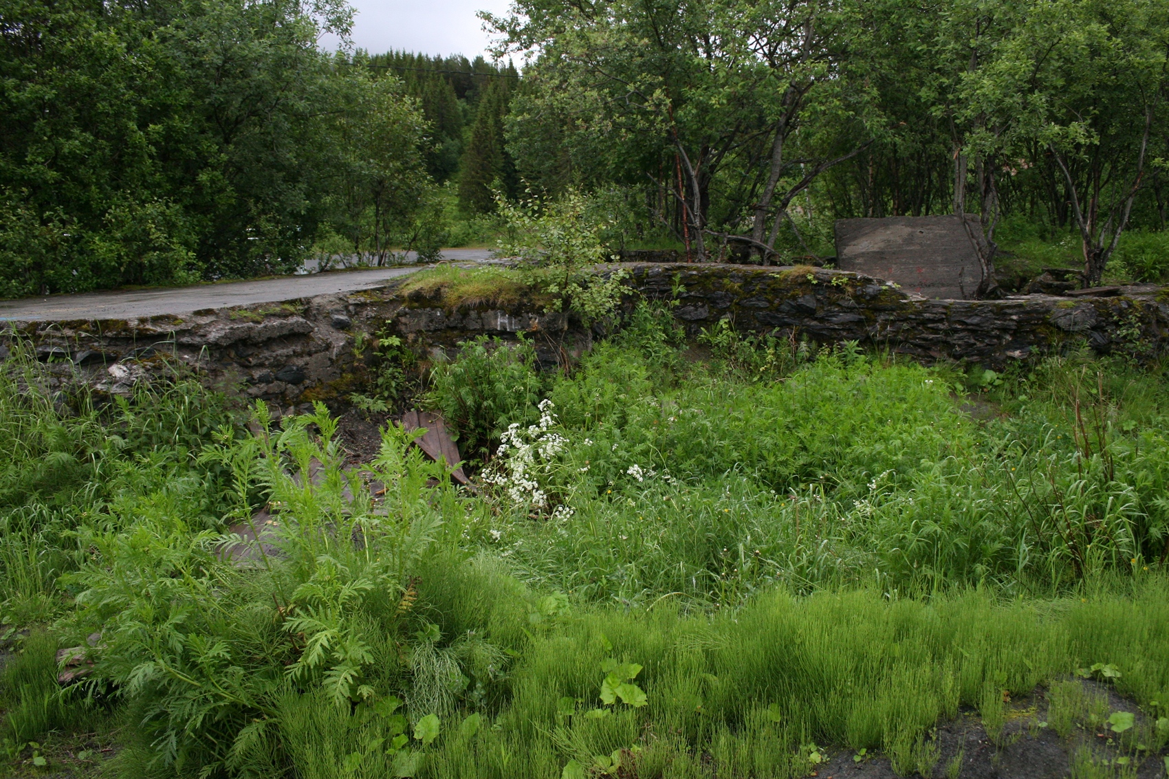 Bunker i Ørnveien nær 2 idrettsplasser ved Kvitvika -5.jpg