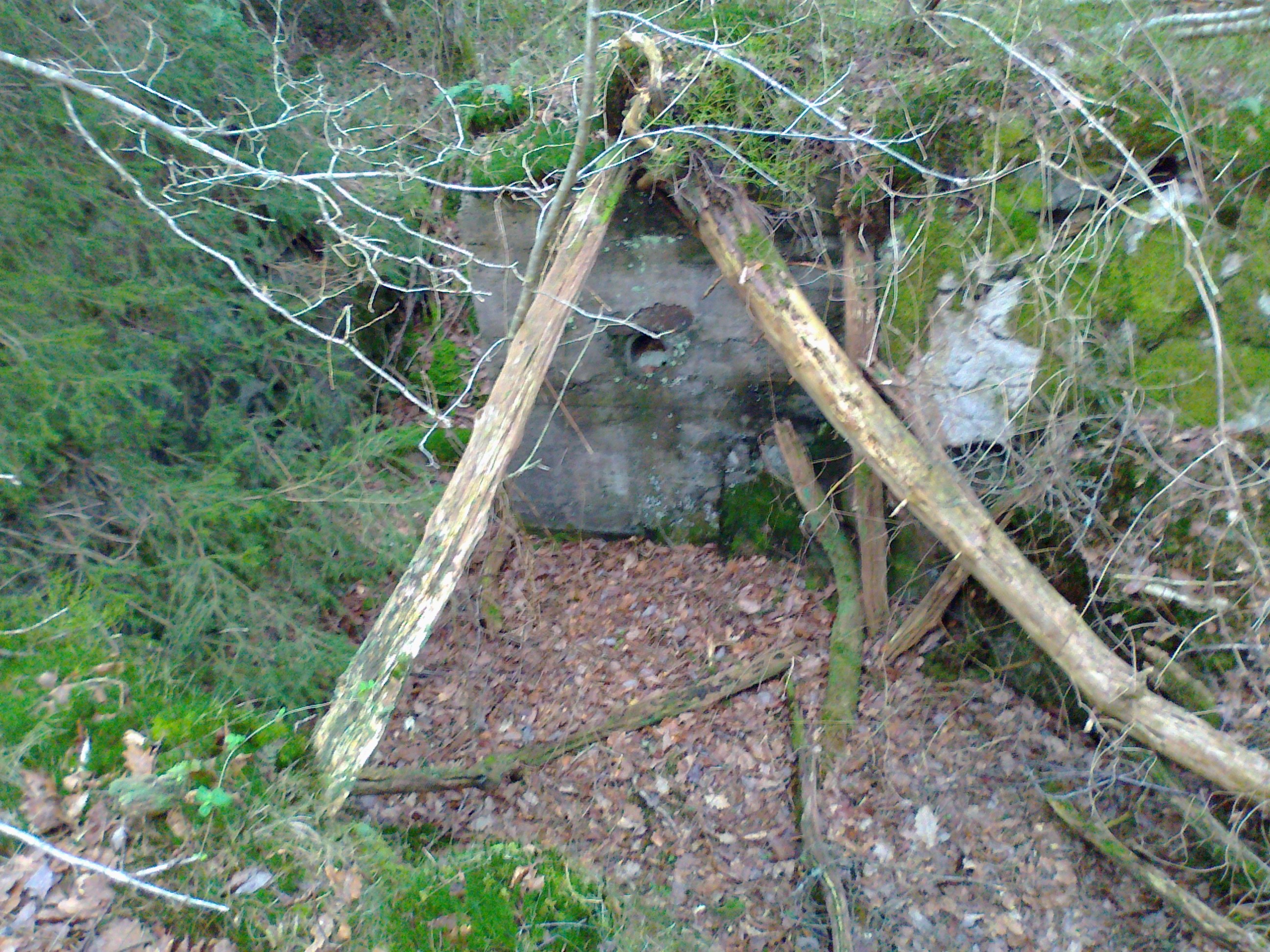 sett ovenfra