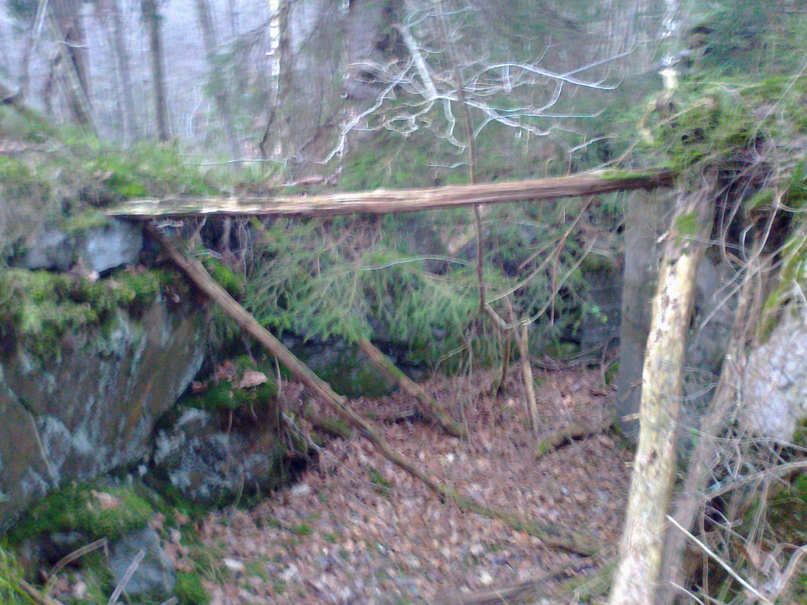 Bilde0019.jpg