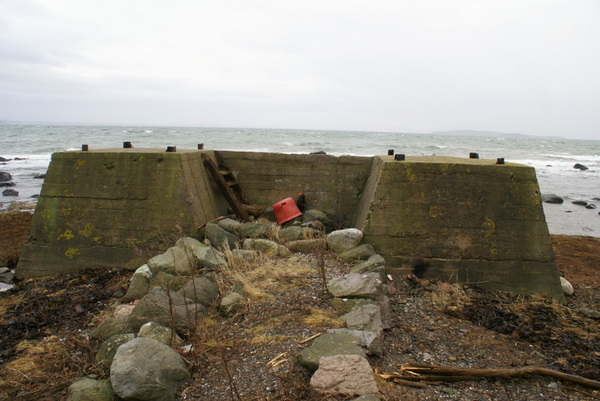 DSC04347.JPG