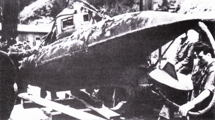 welman_2.jpg