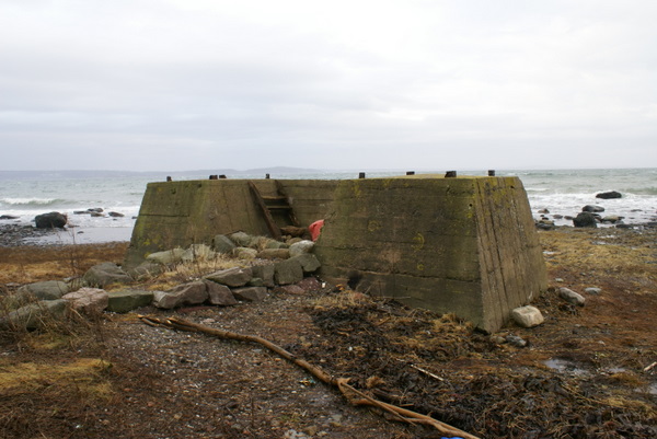DSC04346.JPG