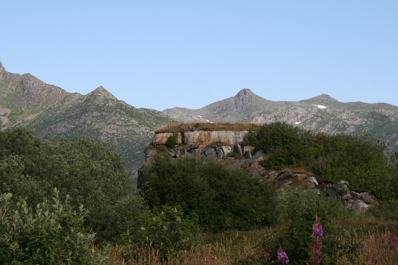 IMG_3869.jpg
